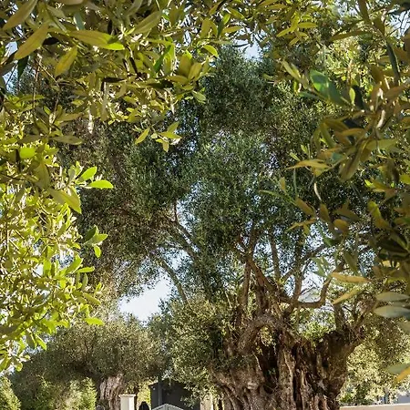 빌라 Laoura 스보로나타