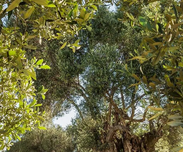 Villa Laoura Svoronata